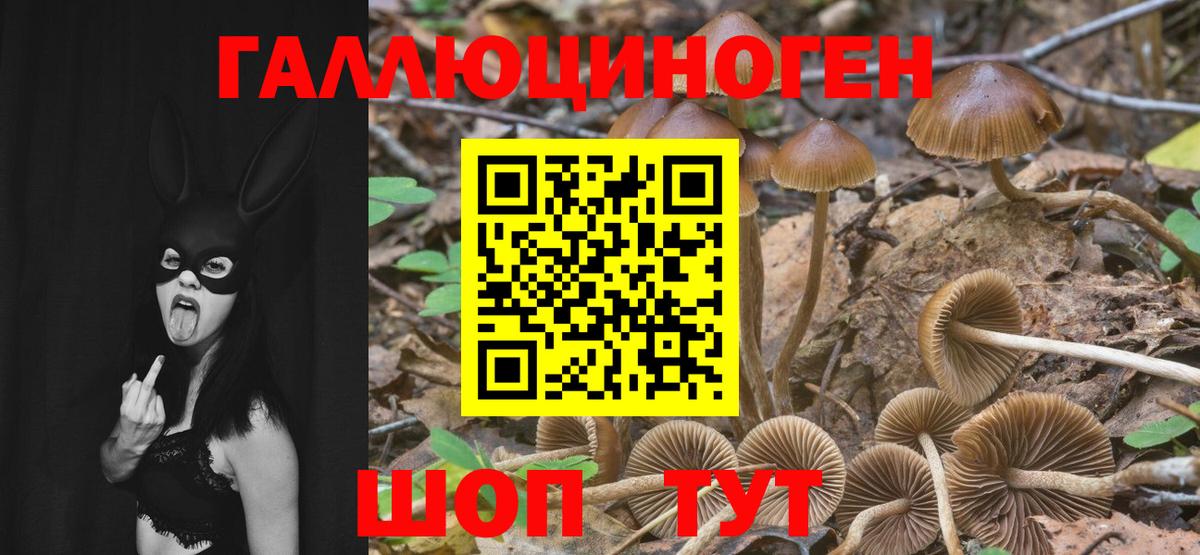 Псилоцибиновые грибы MAGIC MUSHROOMS Белебей